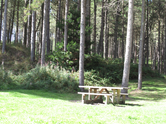 Picnic sites